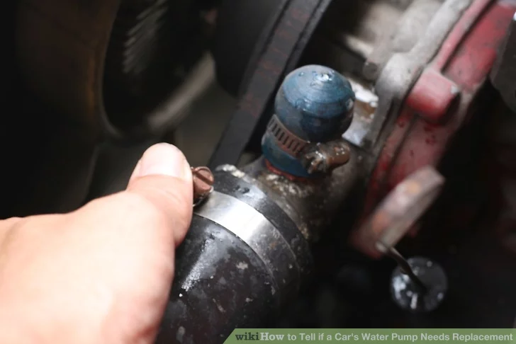 دنبال نشتی در اطراف واتر پمپ باشید.