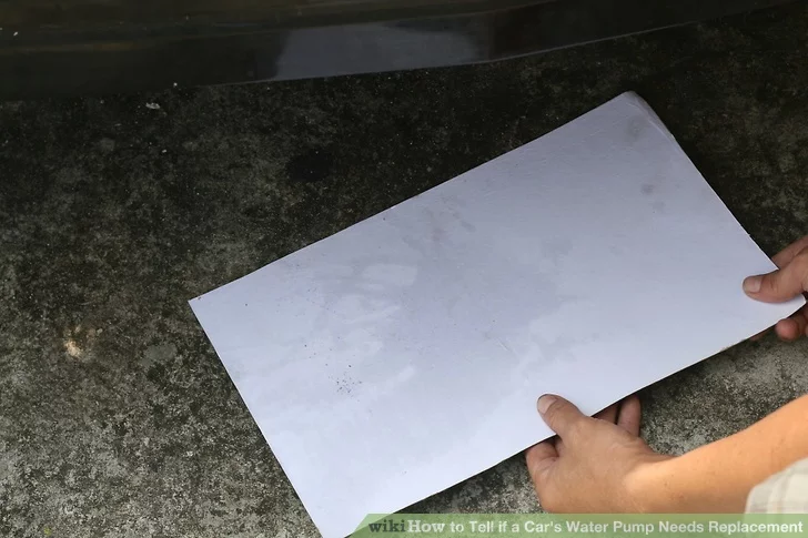 صبح روز بعد، مقوا را بررسی کنید.