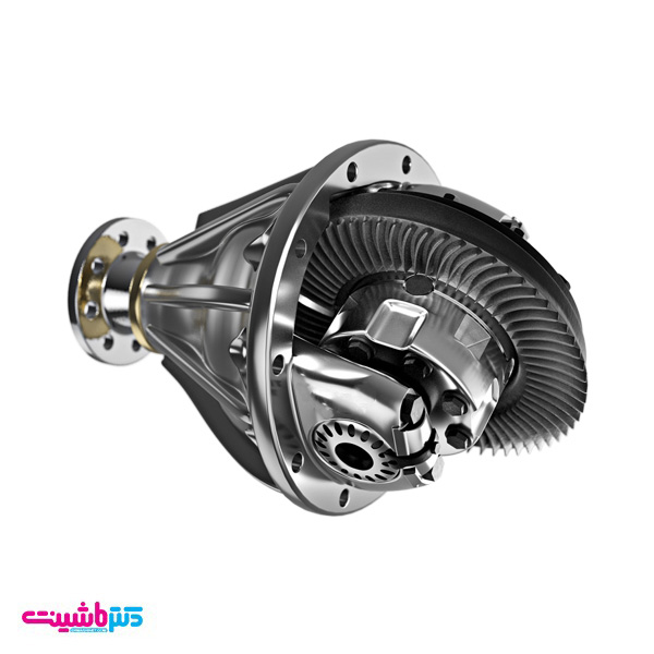 کله گاوی Capra